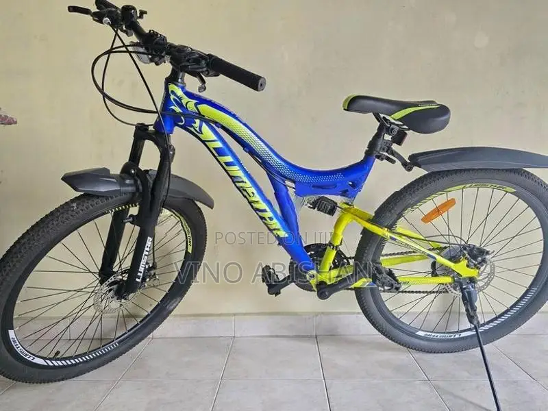 Lumstar bicycle (26inch)