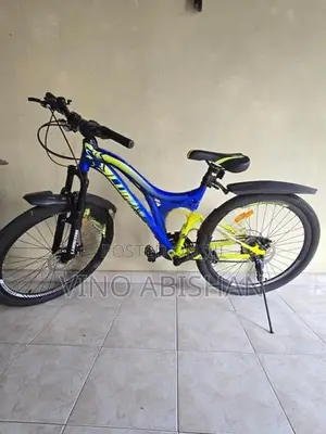 Lumstar bicycle (26inch)