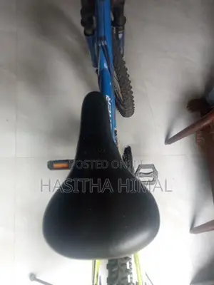 Used Bicycle
