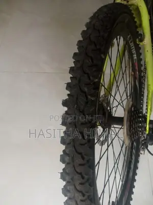 Used Bicycle