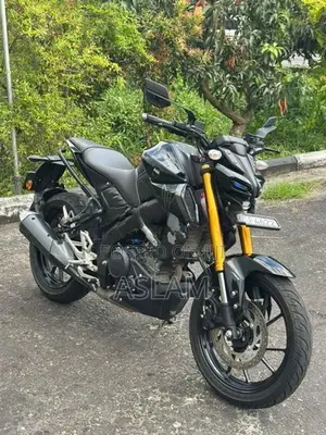 Yamaha MT 15 2025
