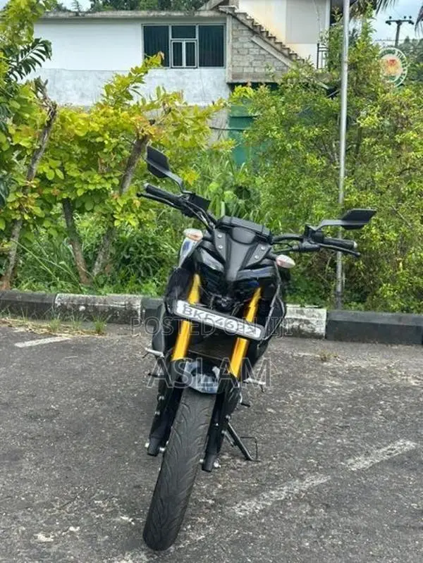 Yamaha MT 15 2025