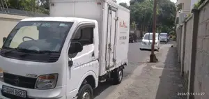 Tata Dimo Batta Full Body 2022