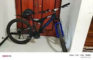 Lumala next bicycle