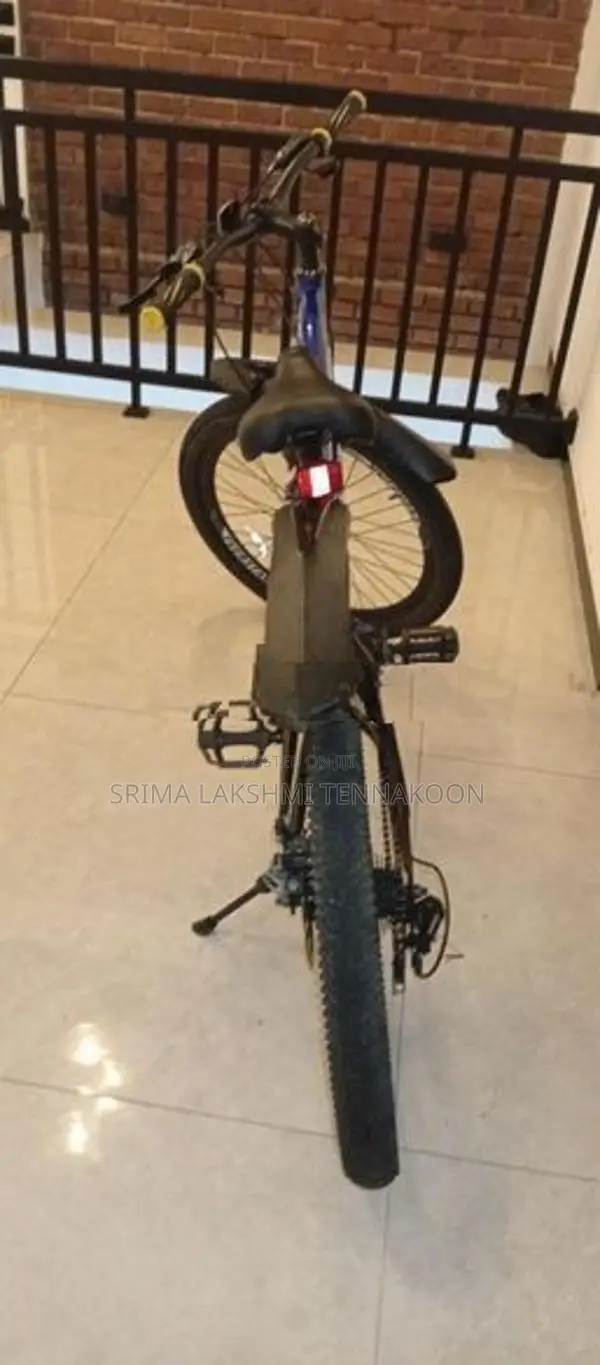 Everstar GT5 Bicycle