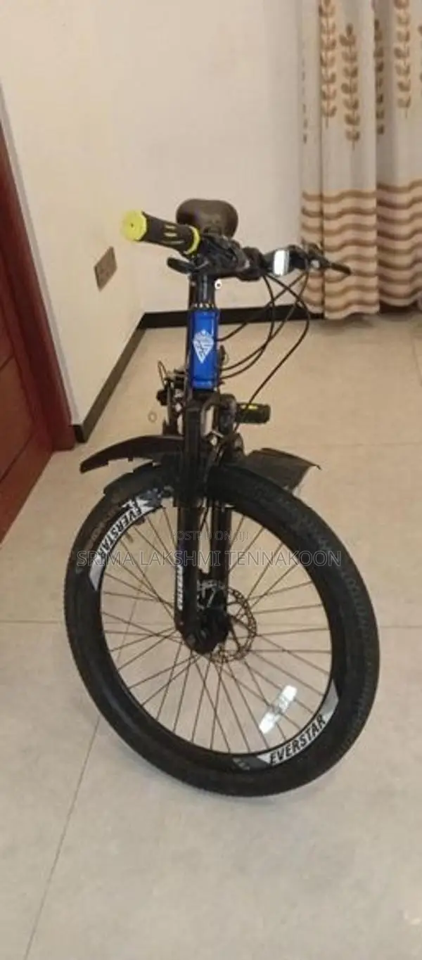Everstar GT5 Bicycle