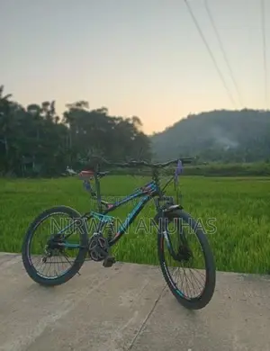 Tomahawk Bicycle