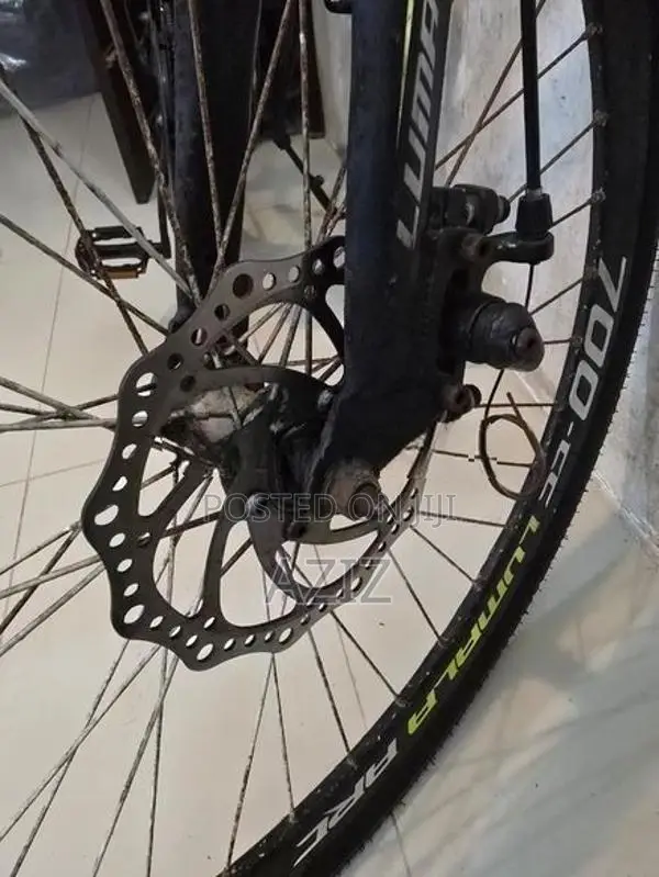 Lumala ARC Hybrid Bicycle