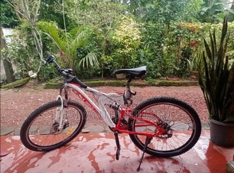 DSI Bicycle