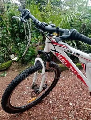 DSI Bicycle