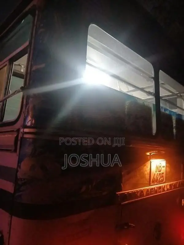 Ashok Leyland Viking 2012
