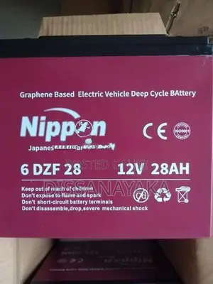 Electric Bike Deep Cycle Battery