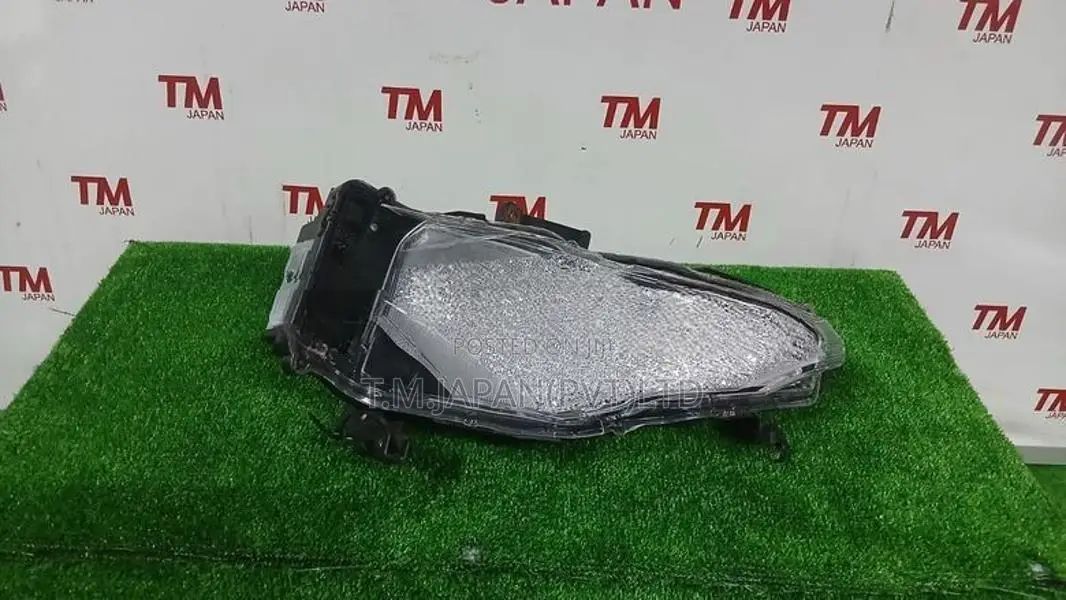 Toyota Voxy ZWR95 Illumination Lamp Right Side