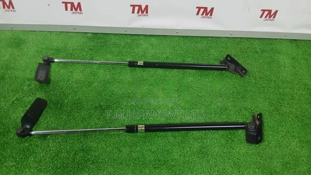 Suzuki Swift HT51S Dicky Shocks