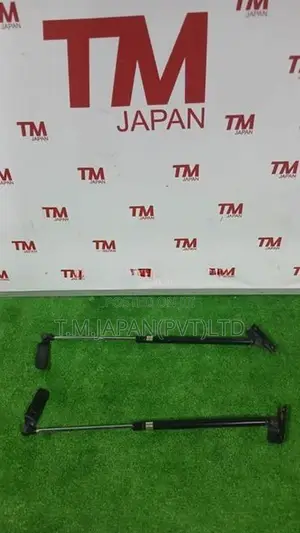 Suzuki Swift HT51S Dicky Shocks