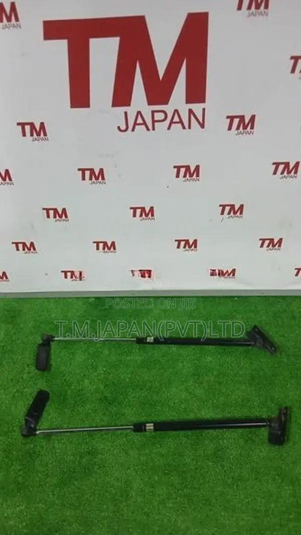 Suzuki Swift HT51S Dicky Shocks