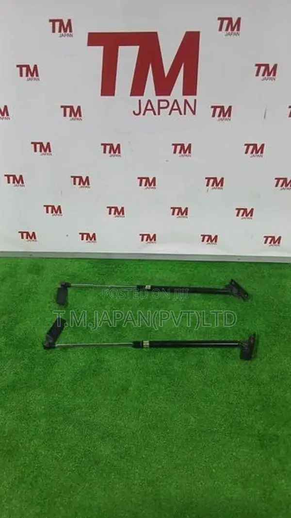 Suzuki Swift HT51S Dicky Shocks