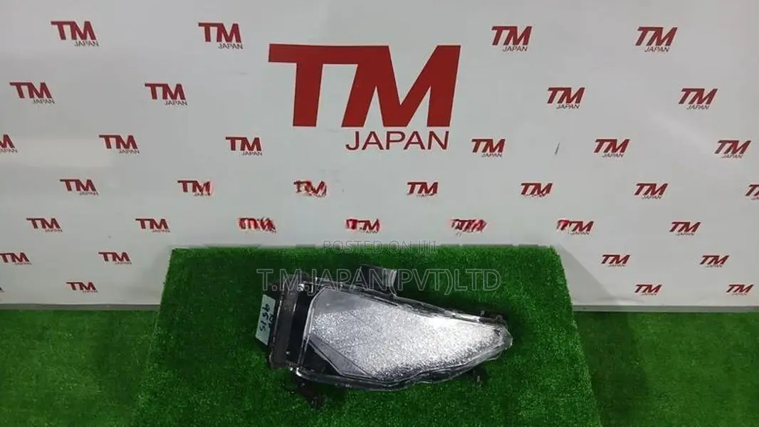 Toyota Voxy ZWR95 Illumination Lamp Right Side