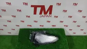 Toyota Voxy ZWR95 Illumination Lamp Right Side