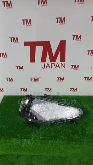 Toyota Voxy ZWR95 Illumination Lamp Right Side