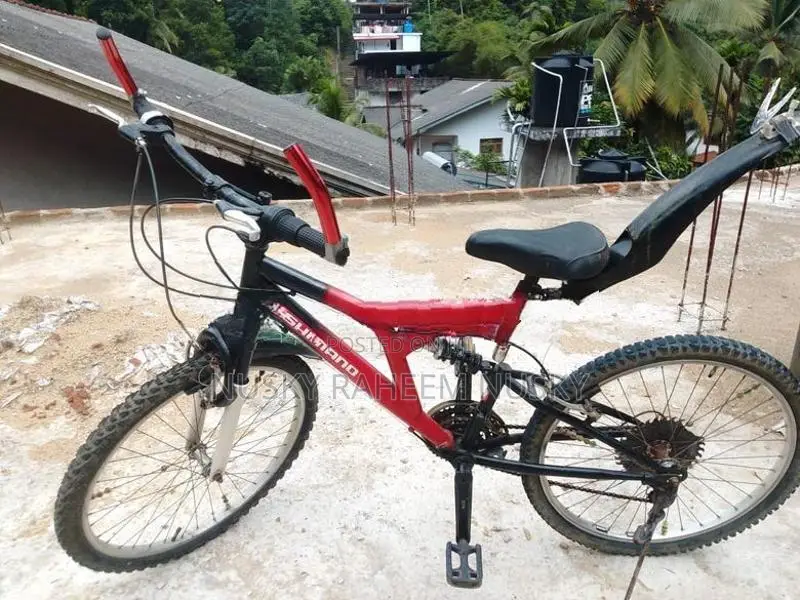 Mountain Bike
