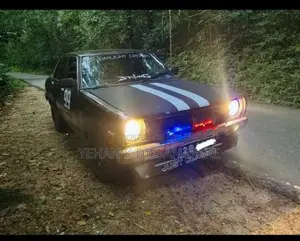 Nissan Sunny B310 1982