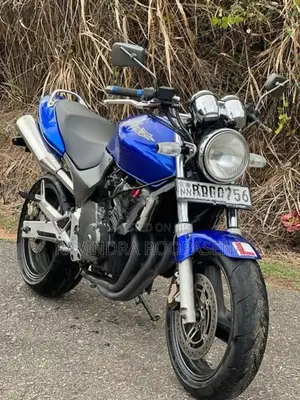 Honda Hornet 250 2007