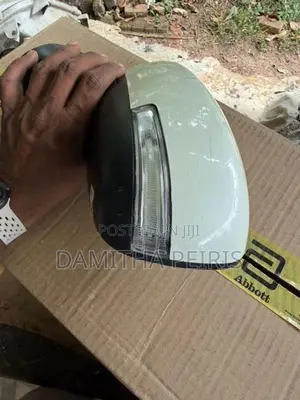 Suzuki Wagon R Side Mirror MH55S