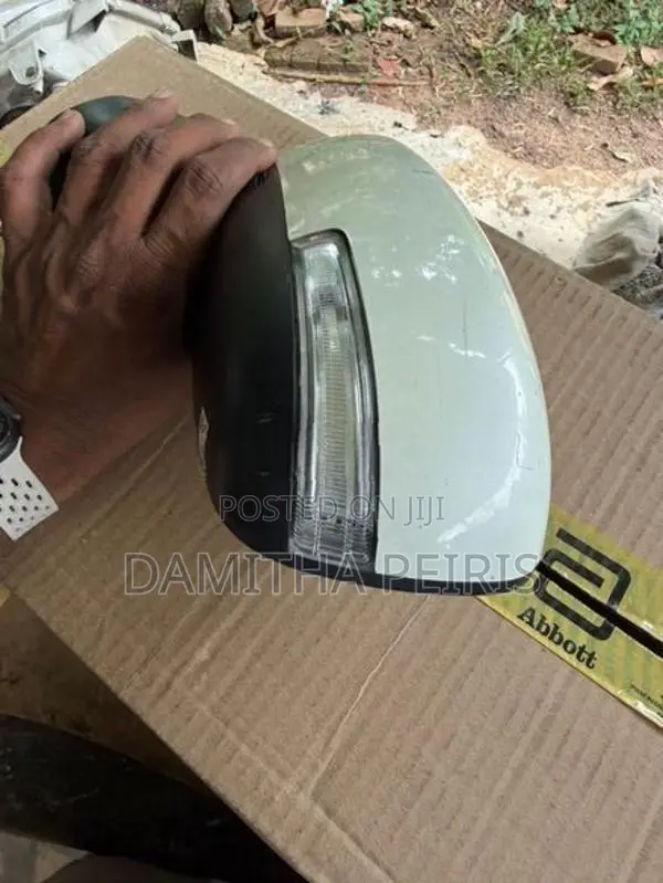 Suzuki Wagon R Side Mirror MH55S