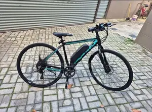 Electric Bicycle Bike
