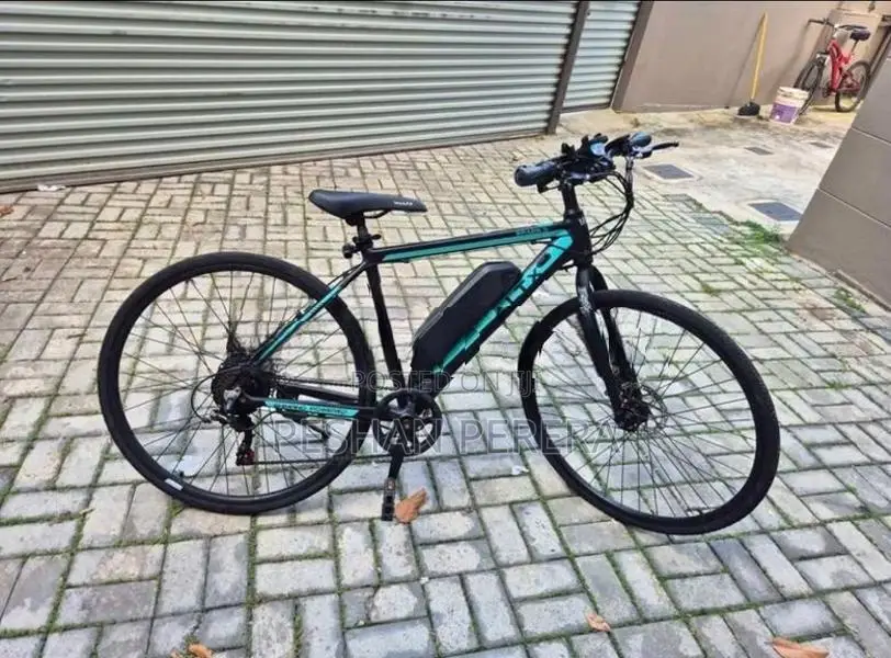Electric Bicycle Bike