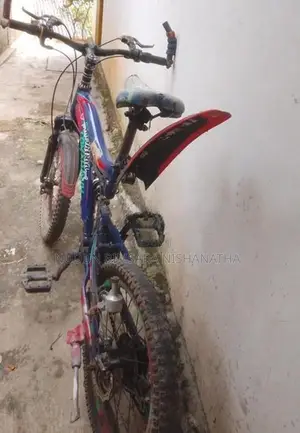 පා පැදි