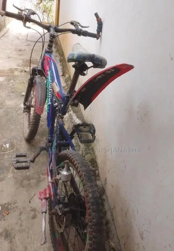 පා පැදි