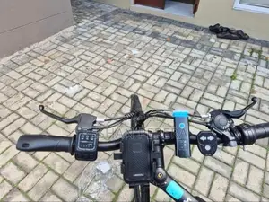 Electric Bicycle Bike