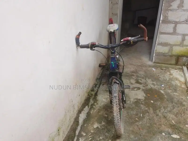 පා පැදි