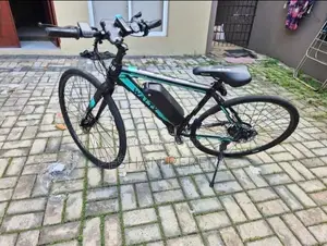 Electric Bicycle Bike