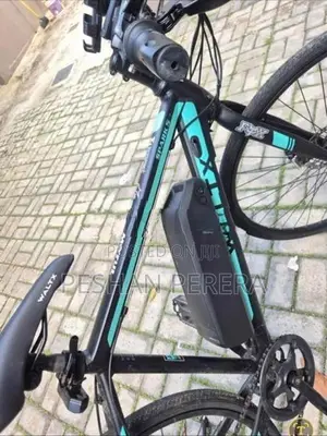 Electric Bicycle Bike