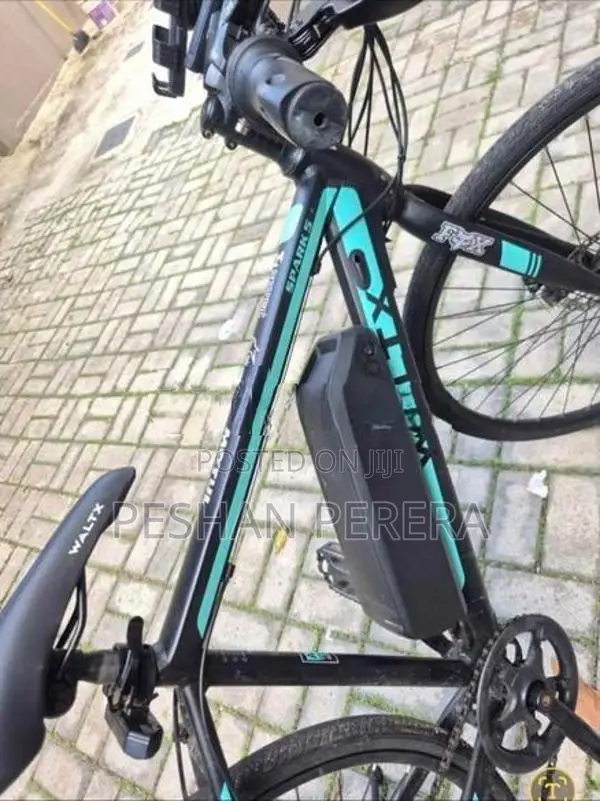 Electric Bicycle Bike