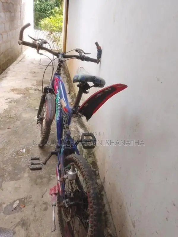 පා පැදි