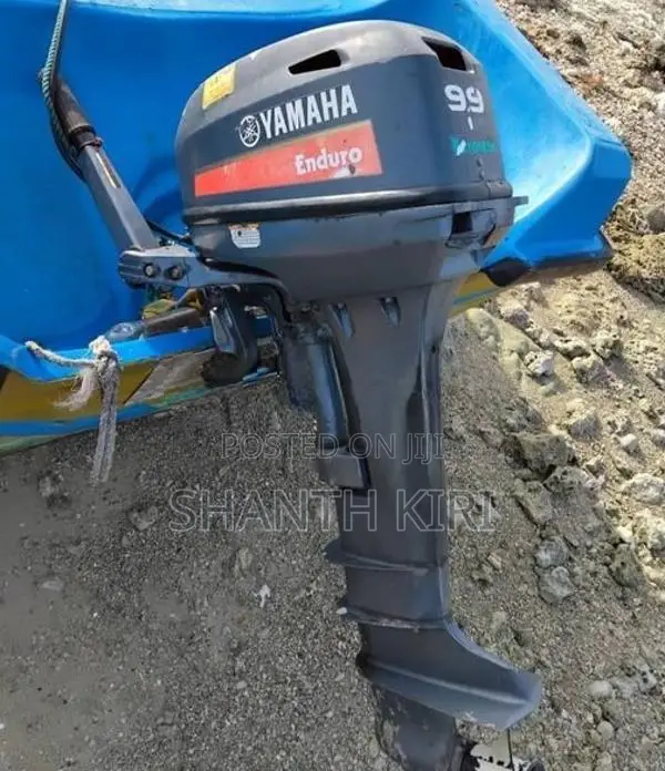 Yamaha 9.9 Boat