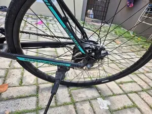 Electric Bicycle Bike