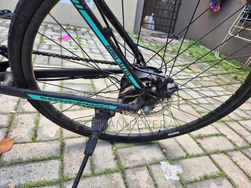 Electric Bicycle Bike