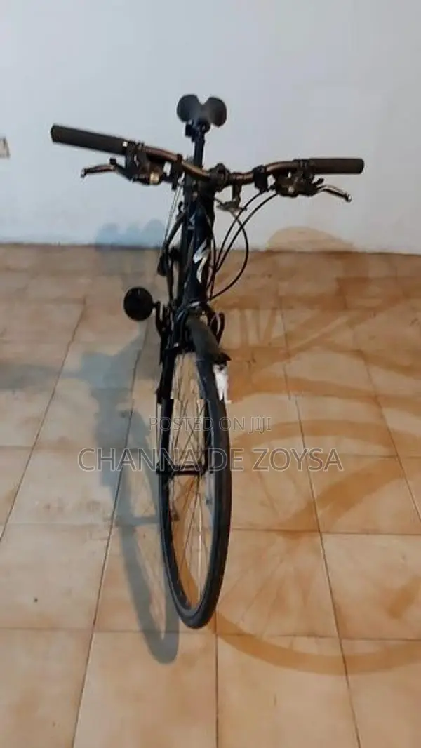 Ladies Hybrid Sports
