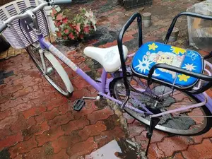 Bicycle 24"