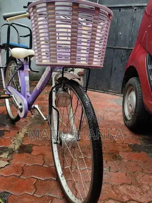 Bicycle 24"