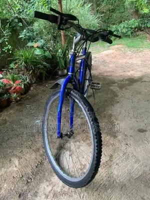 Gear Bicycle
