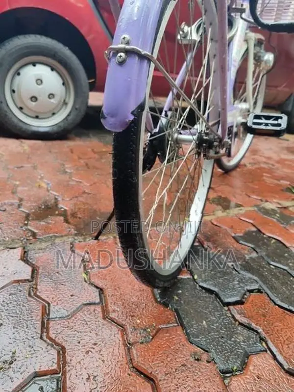Bicycle 24"