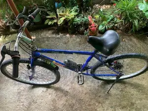 Gear Bicycle