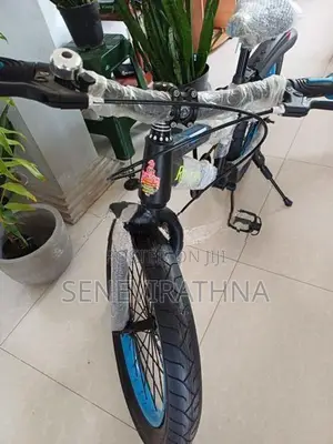 Bicycle