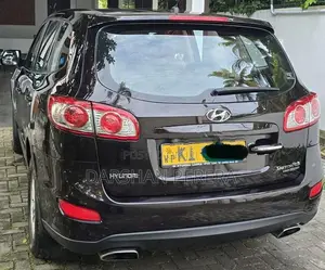 Hyundai Santa Fe 2010